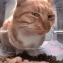 sideeye sideeye