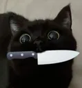 cat_with_knife