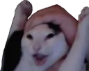 wahoo