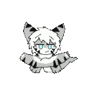 shork_spin