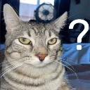 ponder_confused ponder_confused