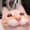 happycar
