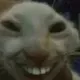 xdd xdd