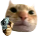 catgun catgun