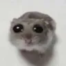 c_