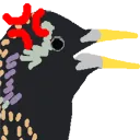 kwAngry