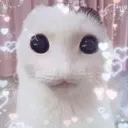 x_mew