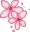 DFlower2c