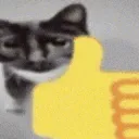 thumbsupcat