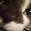 rn_image_picker_lib_temp_d6d425f