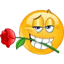 rizzrose