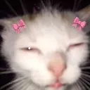 __