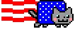 nyancat_america