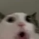 poggingsohard