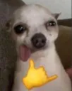 silly_little_guy