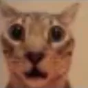 shocked