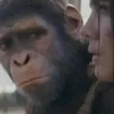 8MonkeySideEye