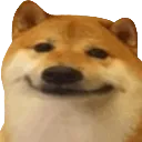 Doge_Cheems