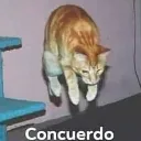 emoji_14