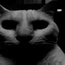 scarycat
