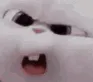 AWK_a_rabbit_wtf