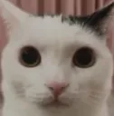 i_saw_what_you_deleted