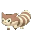 ferretSpin