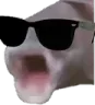 fish_cool