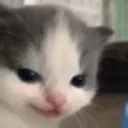catsmile1