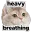 heavybreathingcat