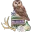 bookishowl