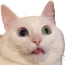 emoji_235