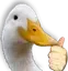 goose_thumbsup