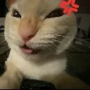 ANGRY
