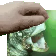 vedalPat vedalPat