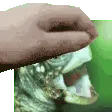 vedalPat