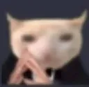 catt