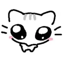 cat_bigbigeyes