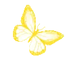 3857ybutterfly