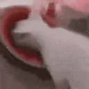 meloncat