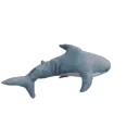 Dumb_Aah_Shark