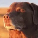 sighsreallyloud