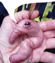 emoji_15