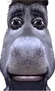 bruh