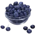 blueberry_bowl