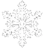 hsnowflake