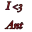 Ant