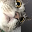 amberhm amberhm