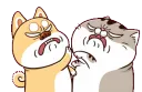 petfight