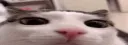 plinK